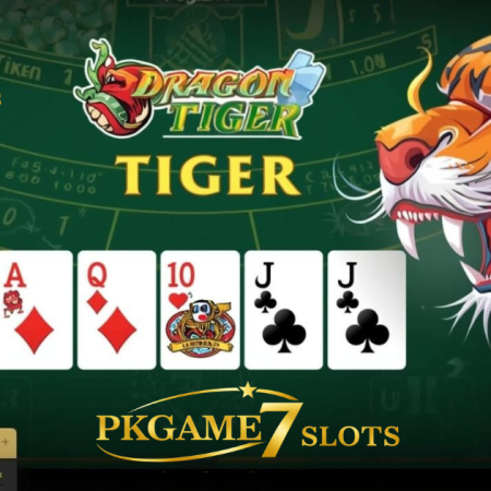 Dragon Tiger Live Casino Tips for Pakistan Players – Complete Guide